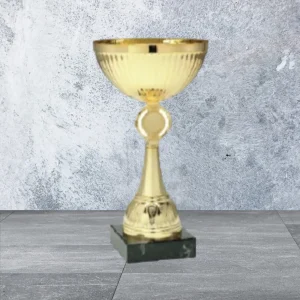 גביע זהב עם מקום למדבקה